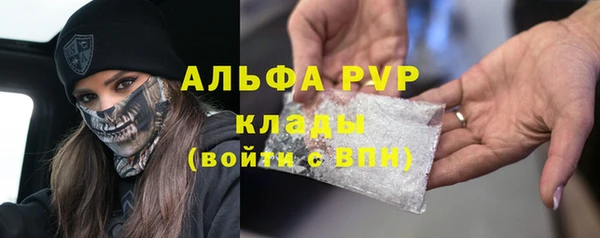 сатива Переславль-Залесский