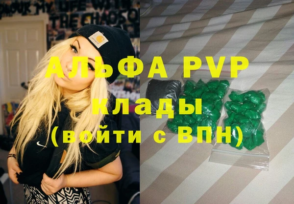 шишки Осташков