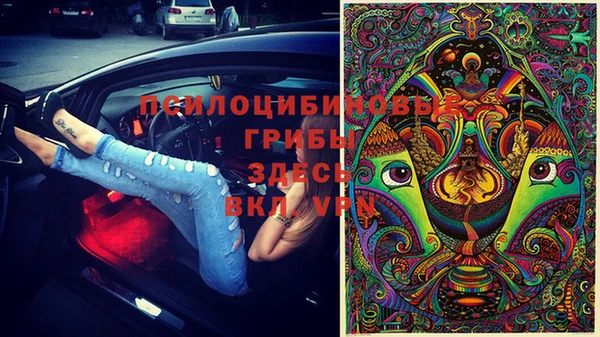 сатива Переславль-Залесский