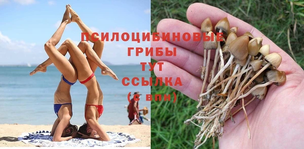 ешки Пестово