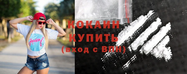 шишки Осташков