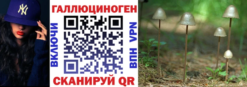Галлюциногенные грибы Cubensis  Купить  Бердск 